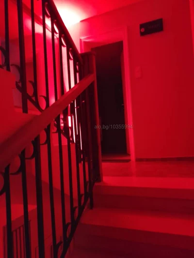 Компаньонка София - ИЩАР Ескорт - Орален секс, Класически секс, Анален секс - снимка 6