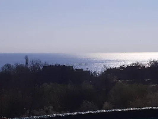 Компаньонка Обзор - . Търся приятна жена за няколко приятни часа.